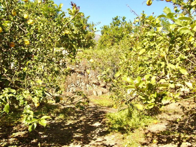 Foto ece22991-f35e-4f05-a2be-dac92ab44d19. Finca rústica a Casco urbano Polop
