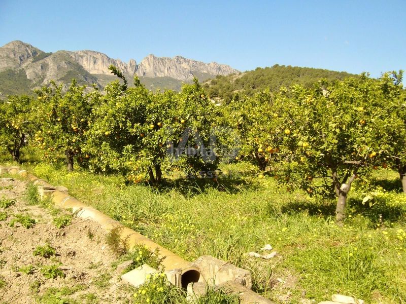 Foto f3842bac-fde2-441a-a5d6-de8075152786. Finca rústica a Casco urbano Polop