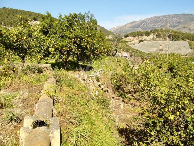 Foto b70d4f2b-bc2b-4491-a068-d95acb6254ab. Finca rústica en Casco urbano Polop