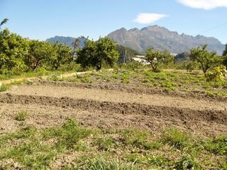 Finca rústica en Casco urbano