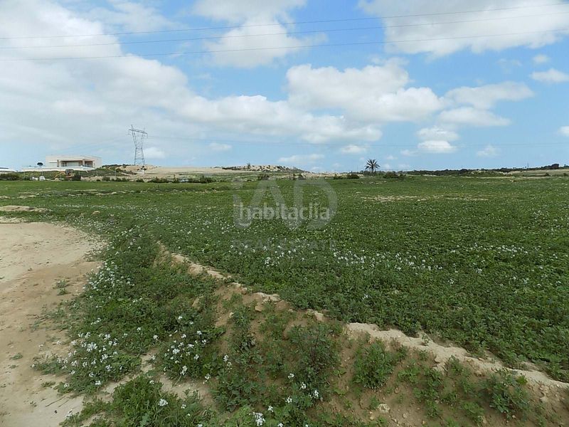 Foto 4acd4ec6-8a78-4e68-a3c2-680ccc1e9500. Finca rústica en La Marina Elche / Elx