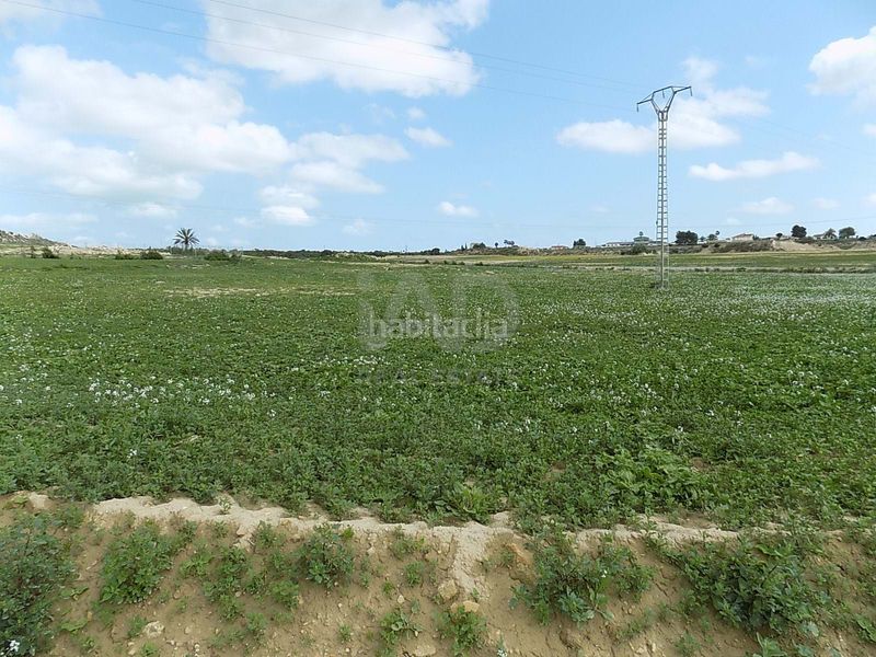 Foto 4c09bd76-c4fb-4173-9f5c-5ce8fae41ba4. Finca rústica en La Marina Elche / Elx