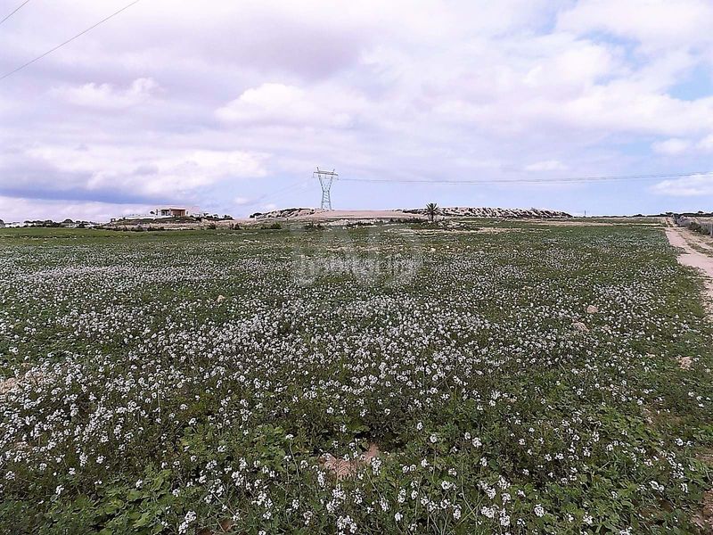 Foto be4dfdd0-aaf4-4ca0-b0ab-e74374de8692. Finca rústica en La Marina Elche / Elx