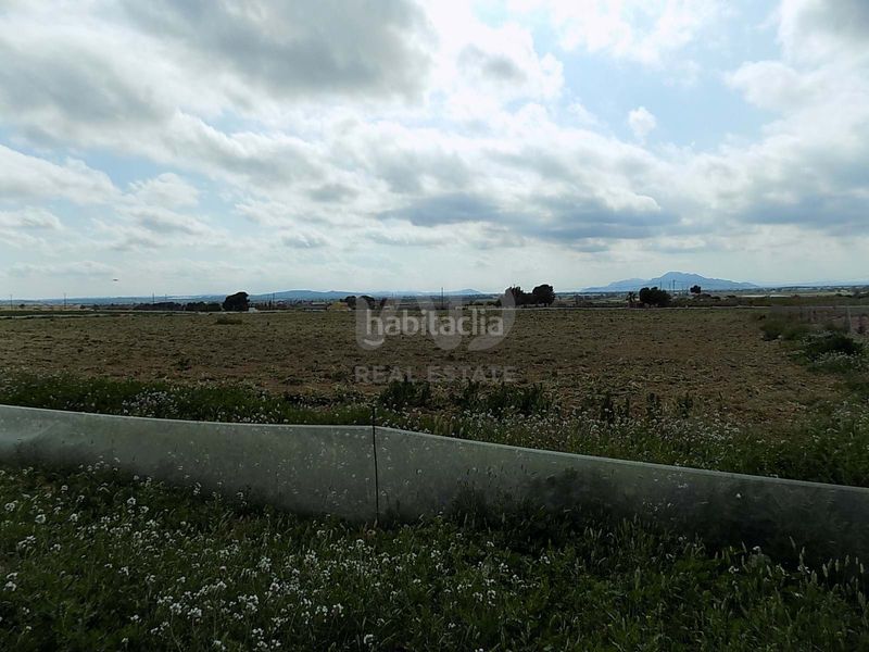 Foto ccc223a0-96f9-4d5a-a2a7-1f7e11e38679. Finca rústica en La Marina Elche / Elx