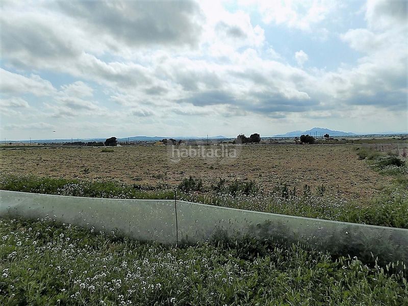 Foto d90d38b9-70a1-47cd-a405-ad6169fd8c98. Finca rústica en La Marina Elche / Elx