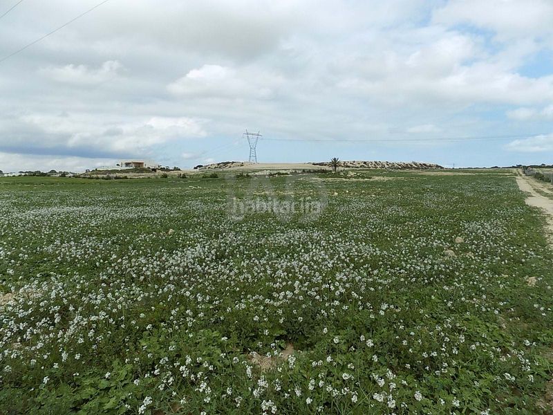 Foto ed51c882-cff3-4240-9ba8-a936d93331f7. Finca rústica en La Marina Elche / Elx