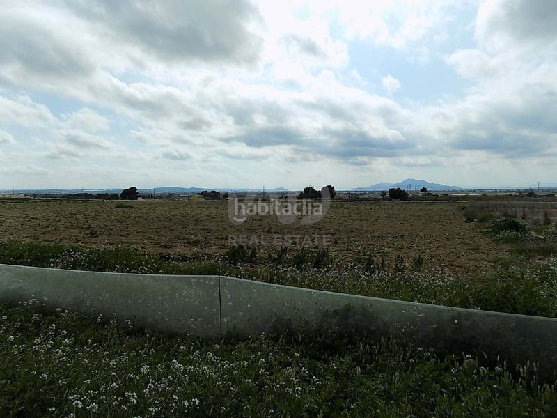 Foto fbfb1e06-b0c9-4f02-8a67-0c6d636fe309. Finca rústica en La Marina Elche / Elx