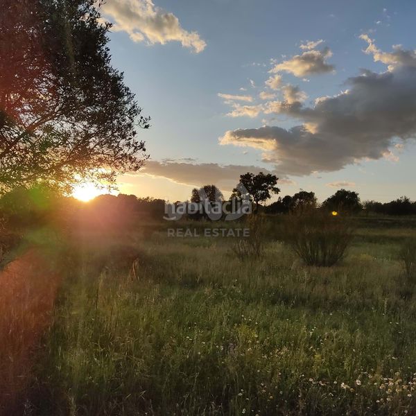 Foto 230d3983-5730-447a-bf50-66b4ccc9f1b0. Finca rústica en Flix