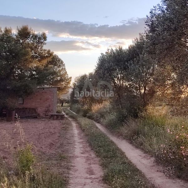 Foto 3a16c9e0-4022-4ceb-9a47-ab472cd3890f. Finca rústica en Flix