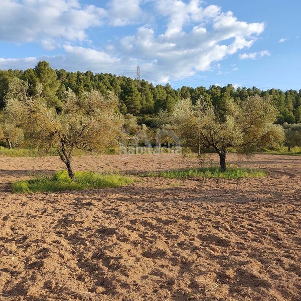 Foto 42f7c6c6-6227-484c-a1a8-15b69a7293dd. Finca rústica en Flix