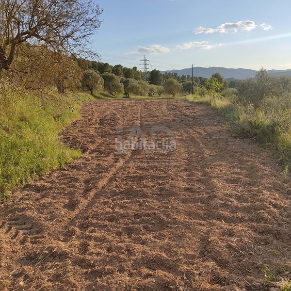 Foto 9252d14d-6167-42d7-b1cb-323b20840f4e. Finca rústica en Flix