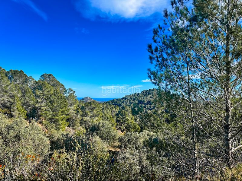 Foto 64513552-959c-4e76-88d6-c2e87e6c04f7. Finca rústica a Xirles Polop