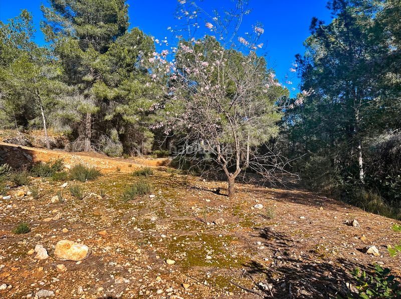 Foto e864d3d3-4d98-4173-8b19-dcfa6a13c1ba. Finca rústica a Xirles Polop