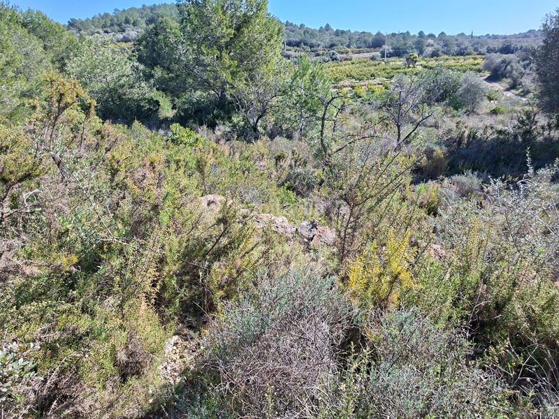 Foto 1cf22755-f1aa-4421-9549-ef4b05151e19. Finca rústica a Ulldecona