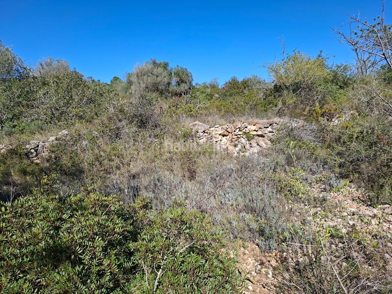 Foto 5130ef71-156a-4901-b55a-f855c9c07a07. Finca rústica a Ulldecona