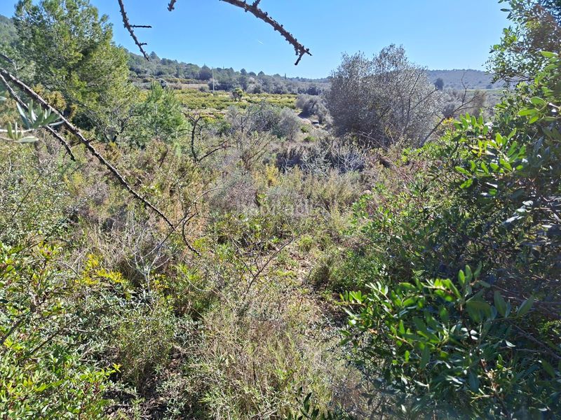 Foto 78ca5236-4b46-4b36-b48e-1464831752fe. Finca rústica a Ulldecona