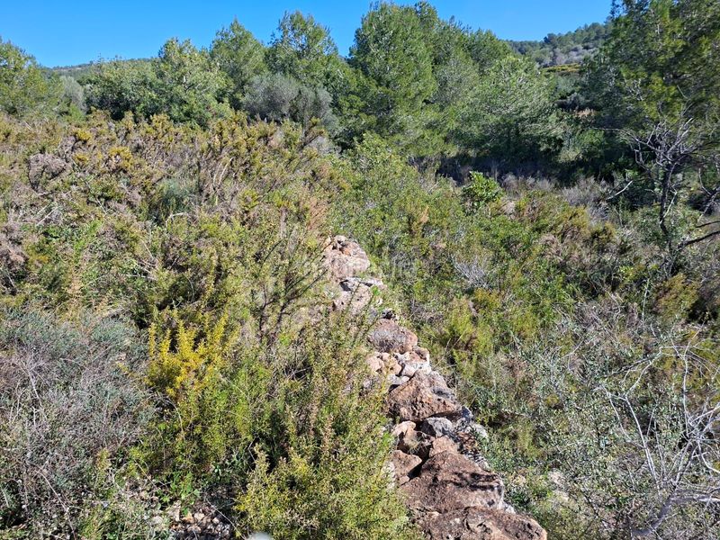 Foto 7991a6f7-8f34-46c8-a808-c0ea6008efa7. Finca rústica a Ulldecona