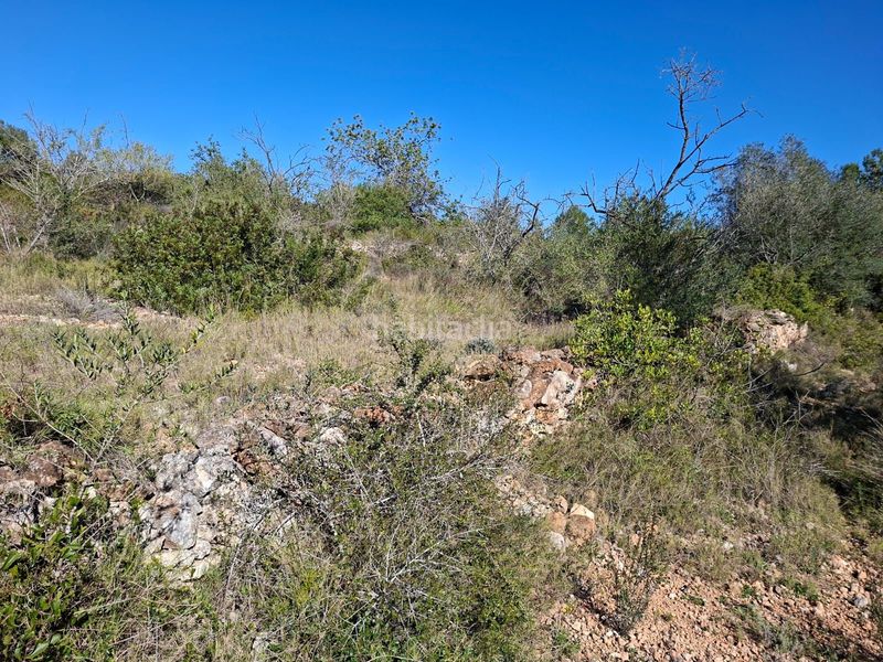 Foto 96a0a654-ca35-4804-b47c-94d908f7b194. Finca rústica a Ulldecona
