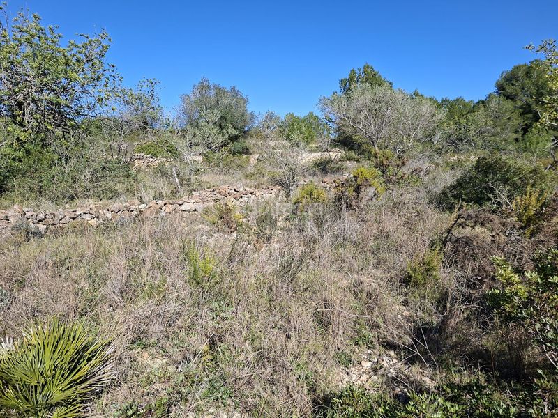 Foto afbff63d-9172-4515-9222-7b46871baec5. Finca rústica a Ulldecona