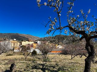 Fondo rustico in Tárbena
