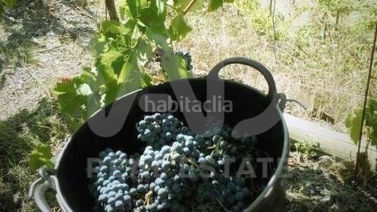 Foto d4b8a5aa-2f75-47dc-a58e-801ecc0ae618. Finca rústica en Porrera