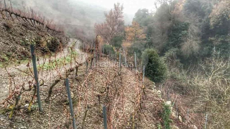 Foto edd5799d-eb96-4449-b24d-eff51bd073c0. Finca rústica en Porrera