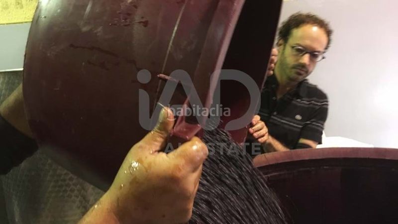 Foto f5f62d4a-047b-4a39-8c62-50bf8e12e0ab. Finca rústica en Porrera