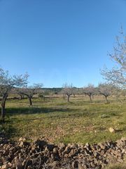 Wohngrundstück in Perelló (El)