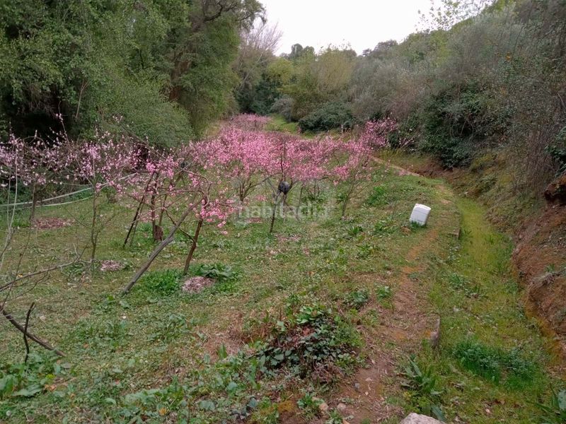 Foto d60b5c30-2ff5-4b3d-bc27-123057fee9f3. Finca rústica a avenida del puente a Nava (La)