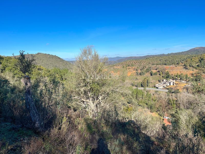 Foto 1544836e-2bff-4379-8b5b-f47702f7b258. Finca rústica en avenida del puente en Nava (La)