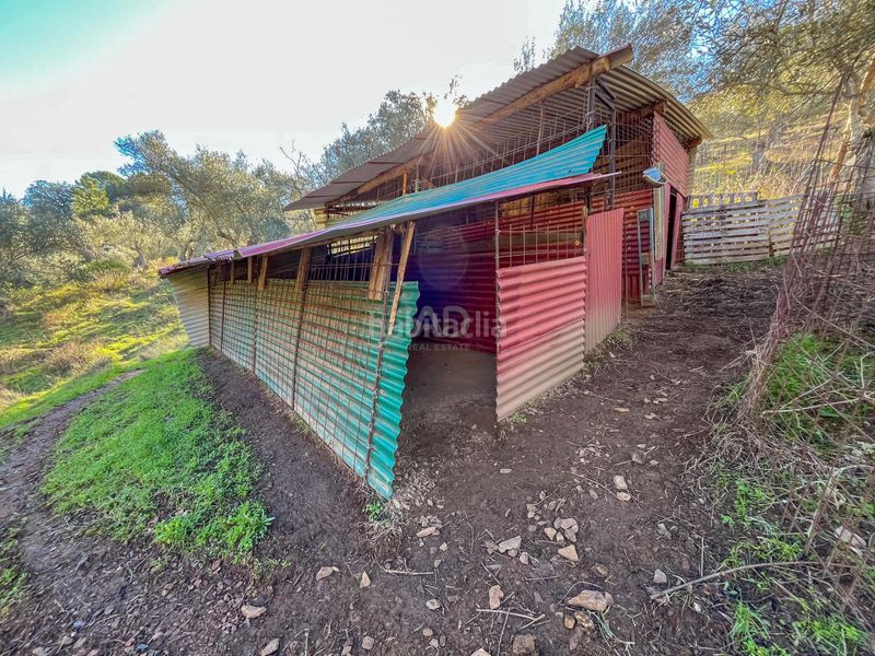 Foto 417187bb-c90c-4586-94a1-8ff0b711612f. Finca rústica en avenida del puente en Nava (La)