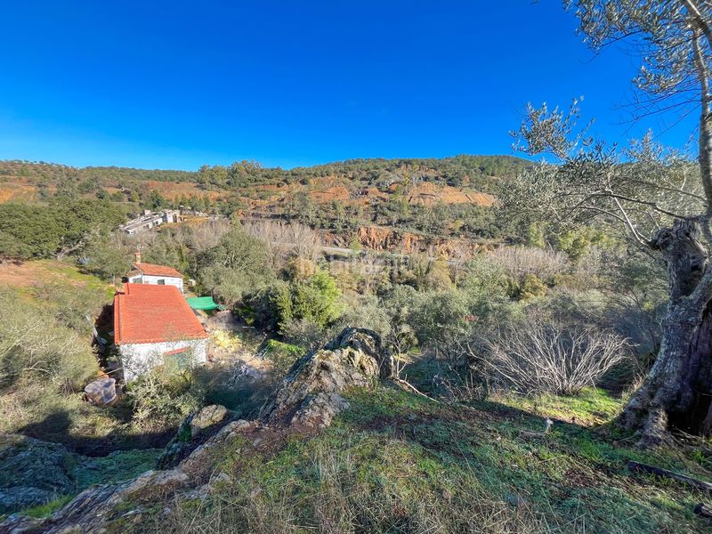 Foto 7efa5440-434e-4431-b8fe-c5676a6c9d0c. Finca rústica en avenida del puente en Nava (La)