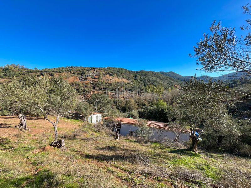 Foto 843a42c6-3de5-402d-a8a9-c0a01c4e578d. Finca rústica en avenida del puente en Nava (La)