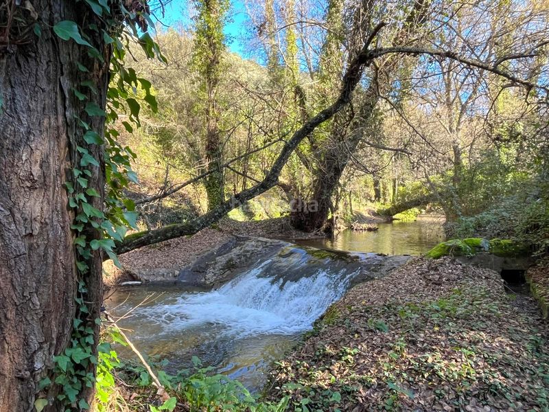 Foto 93b5ac92-2ec8-46c5-835b-c11a186ae4d2. Finca rústica en avenida del puente en Nava (La)