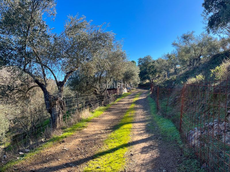 Foto 979e881b-952b-4cab-b91e-33de6f5bdad8. Finca rústica en avenida del puente en Nava (La)