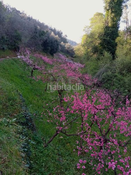 Foto b706b495-a976-49d5-872b-10e318c1f081. Finca rústica en avenida del puente en Nava (La)