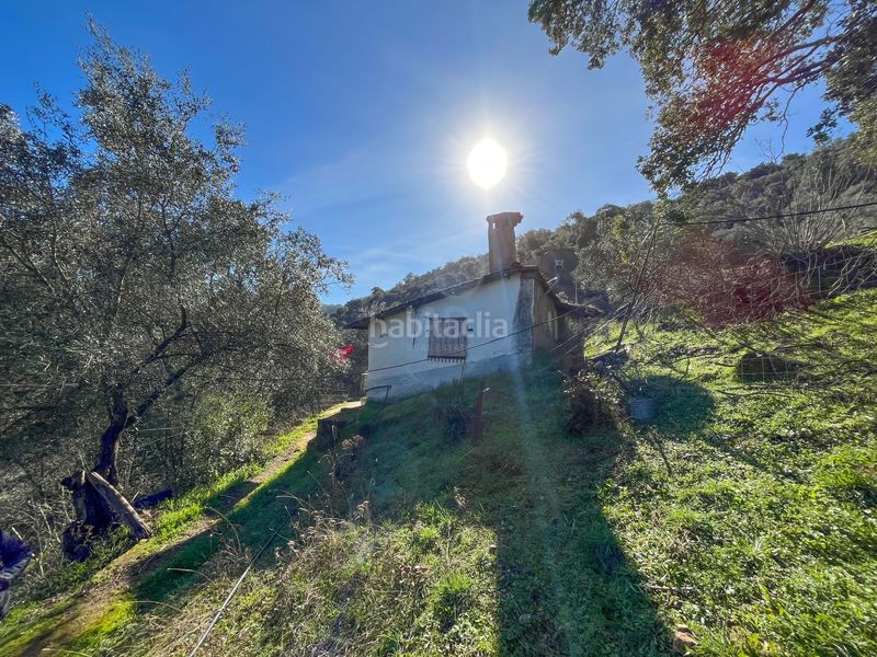 Foto cbc0c7e2-dcac-4ed5-9cd0-1638c8af751c. Finca rústica en avenida del puente en Nava (La)