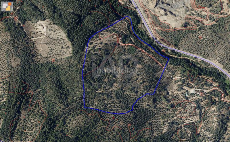 Foto cd5052ec-b0b3-4f50-a855-afb5359eaea0. Finca rústica en avenida del puente en Nava (La)