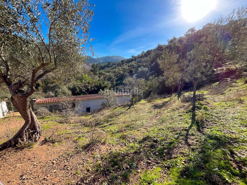 Foto e3fc6ee3-056e-4d61-a49a-7f6df1bb2060. Finca rústica en avenida del puente en Nava (La)