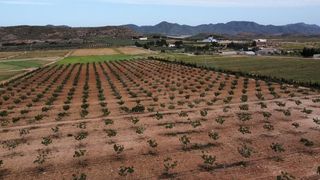 Finca rústica a Escucha