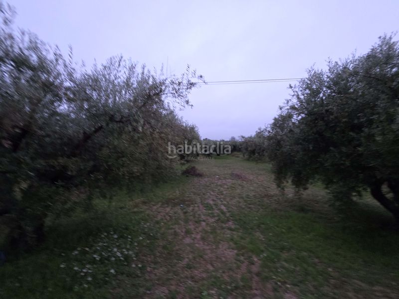 Foto bd93aef1-7848-49c6-87a3-a0ba43aa0ff7. Masia amb aparcament piscina a Moratalla