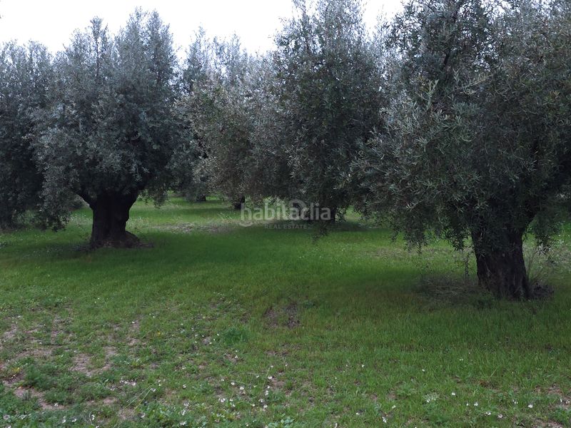 Foto d67b6fa3-ad26-477b-993c-b2fea92ba4f9. Masia amb aparcament piscina a Moratalla