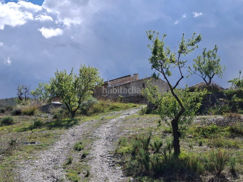 Foto 0f3cb5e7-f4a7-4547-9cd3-03448d24441f. Masia a Carrasquilla Lorca