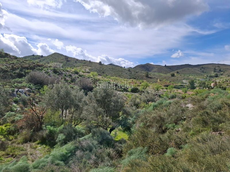 Foto b25d0480-201c-49e0-8209-dbf8e7e81aa3. Masia a Carrasquilla Lorca