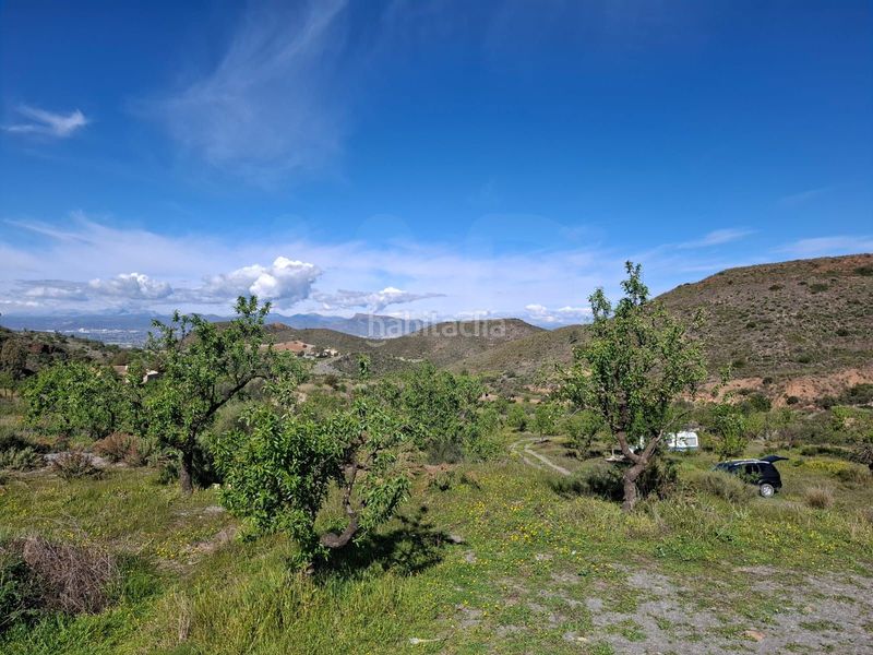 Foto b669c4d7-9d02-4655-872f-30fae79cd788. Masia a Carrasquilla Lorca