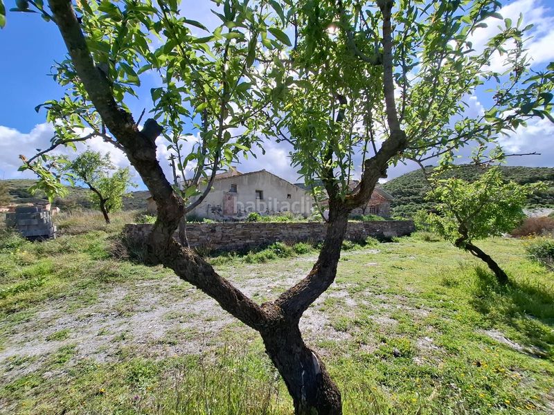 Foto c4960239-c5d9-499e-82f0-15964cbd425e. Masia a Carrasquilla Lorca