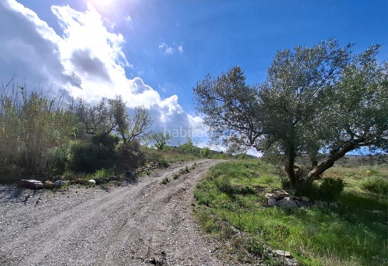 Foto e8167539-c28e-4b99-84d5-7e66a6fa19b4. Masia a Carrasquilla Lorca