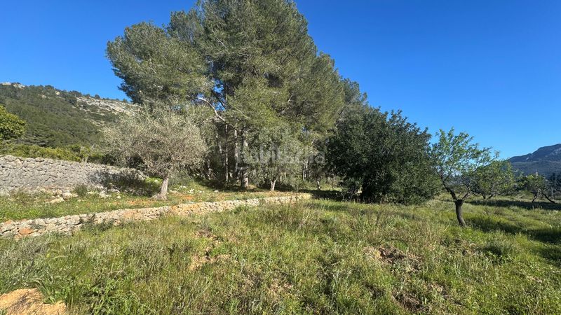 Foto 023d3acf-c3a9-4f8c-aa4e-4125dd06be7b. Terreny residencial a Murla