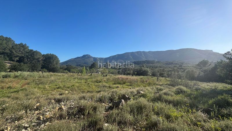 Foto 18f9be03-f14e-4e0c-ba8a-4c51904c664b. Terreny residencial a Murla