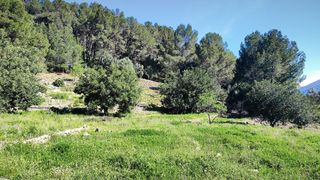 Terreno residenziale in Murla